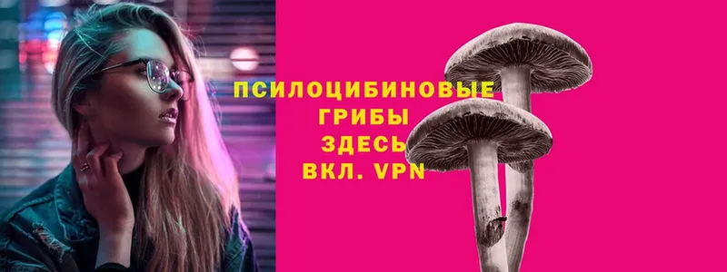 Псилоцибиновые грибы MAGIC MUSHROOMS  Верхоянск 